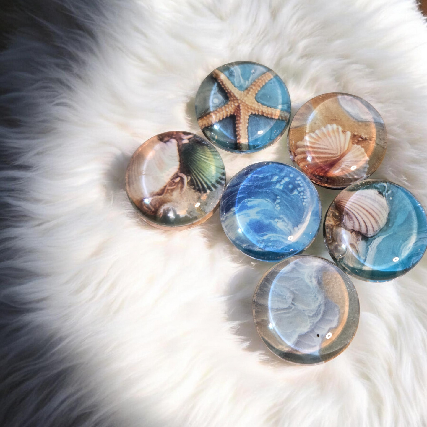 Shoreline Serenity: The Coastal Glass Magnet Collection - 6 piece set